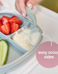 2in1 Diskur með sogskál - Blush