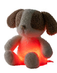 Teddy náttljós mini - Hundur - miniplay.is
