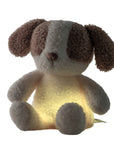 Teddy náttljós mini - Hundur - miniplay.is