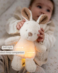 Teddy náttljós - kanína - miniplay.is
