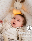 Teddy náttljós - kanína - miniplay.is