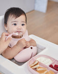 2in1 Diskur með sogskál - Blush
