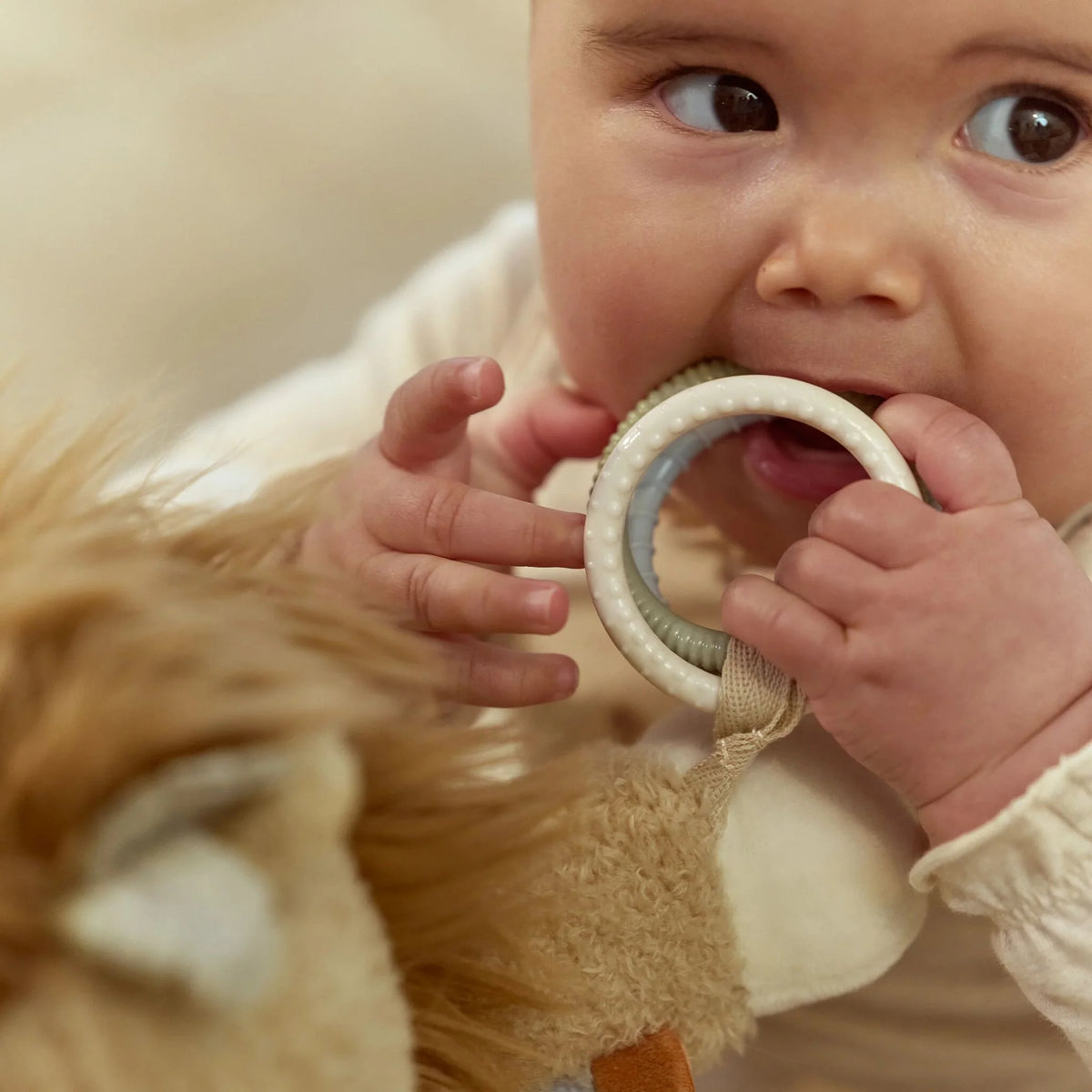 Safari - Leikfanga Ljón