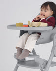 Anex Ozy footrest in Shade