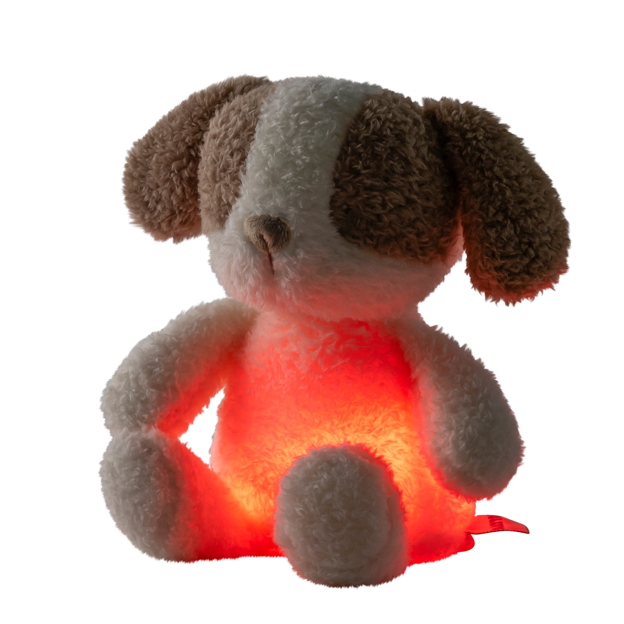 Teddy náttljós mini - Hundur - miniplay.is