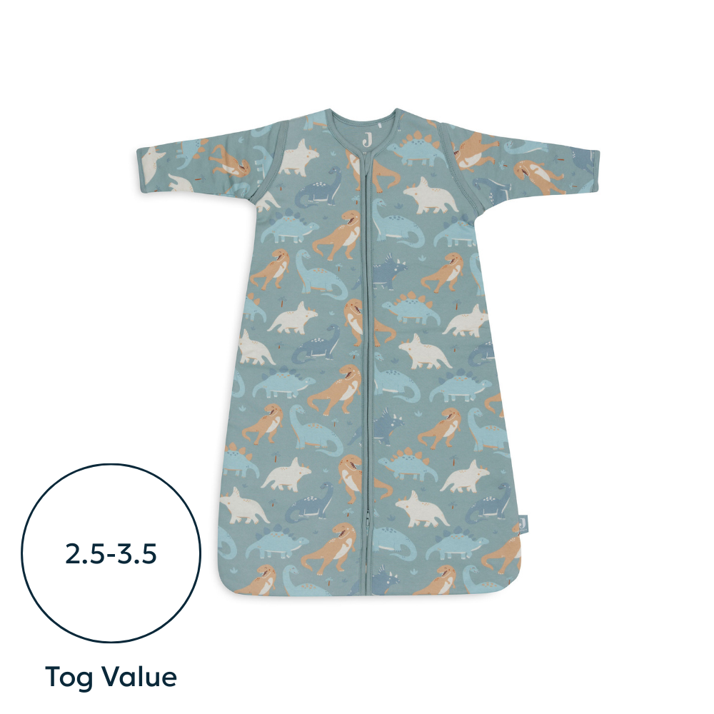 Svefnpoki - Roarsome - miniplay.is