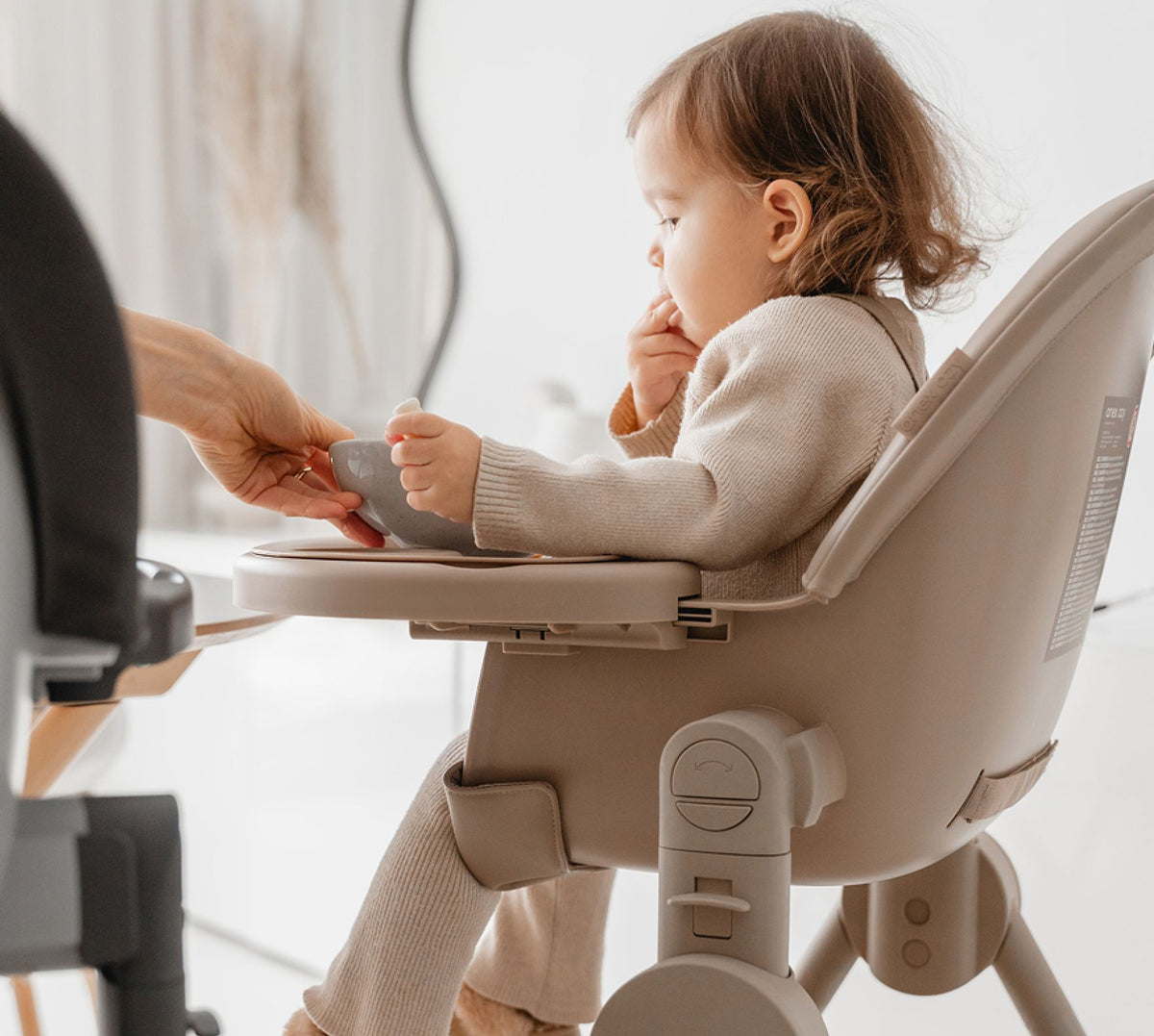 Anex Ozy 3-in-1 high chair in Fluff