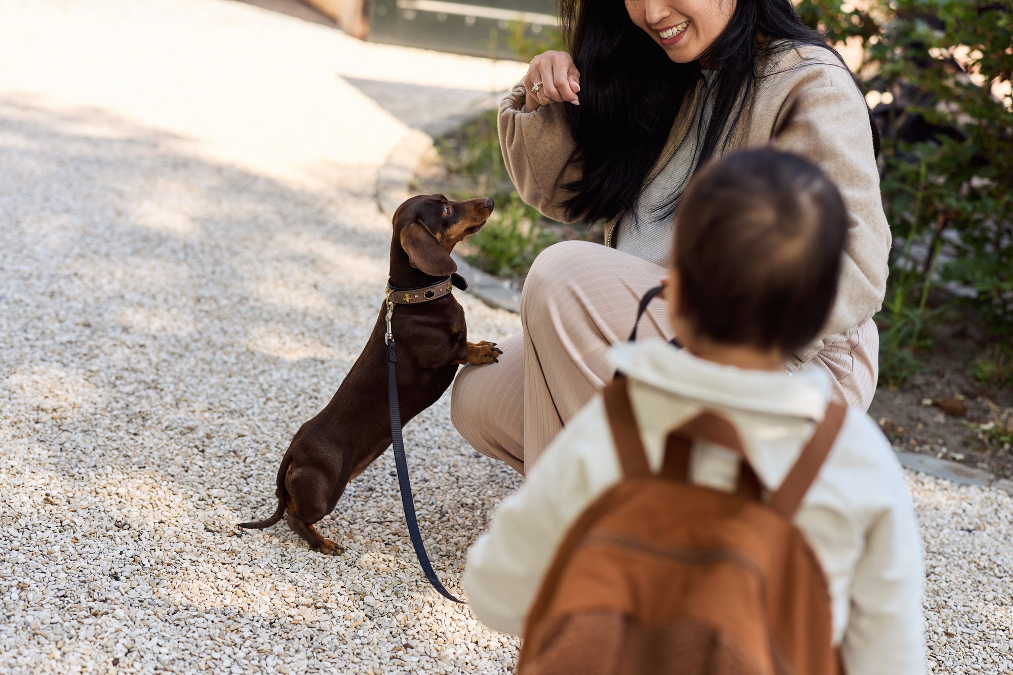 Bakpoki barna - Diego - miniplay.is