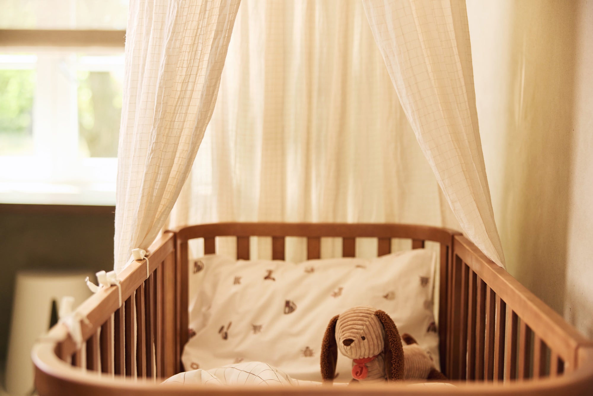 Hundur - Diego - miniplay.is