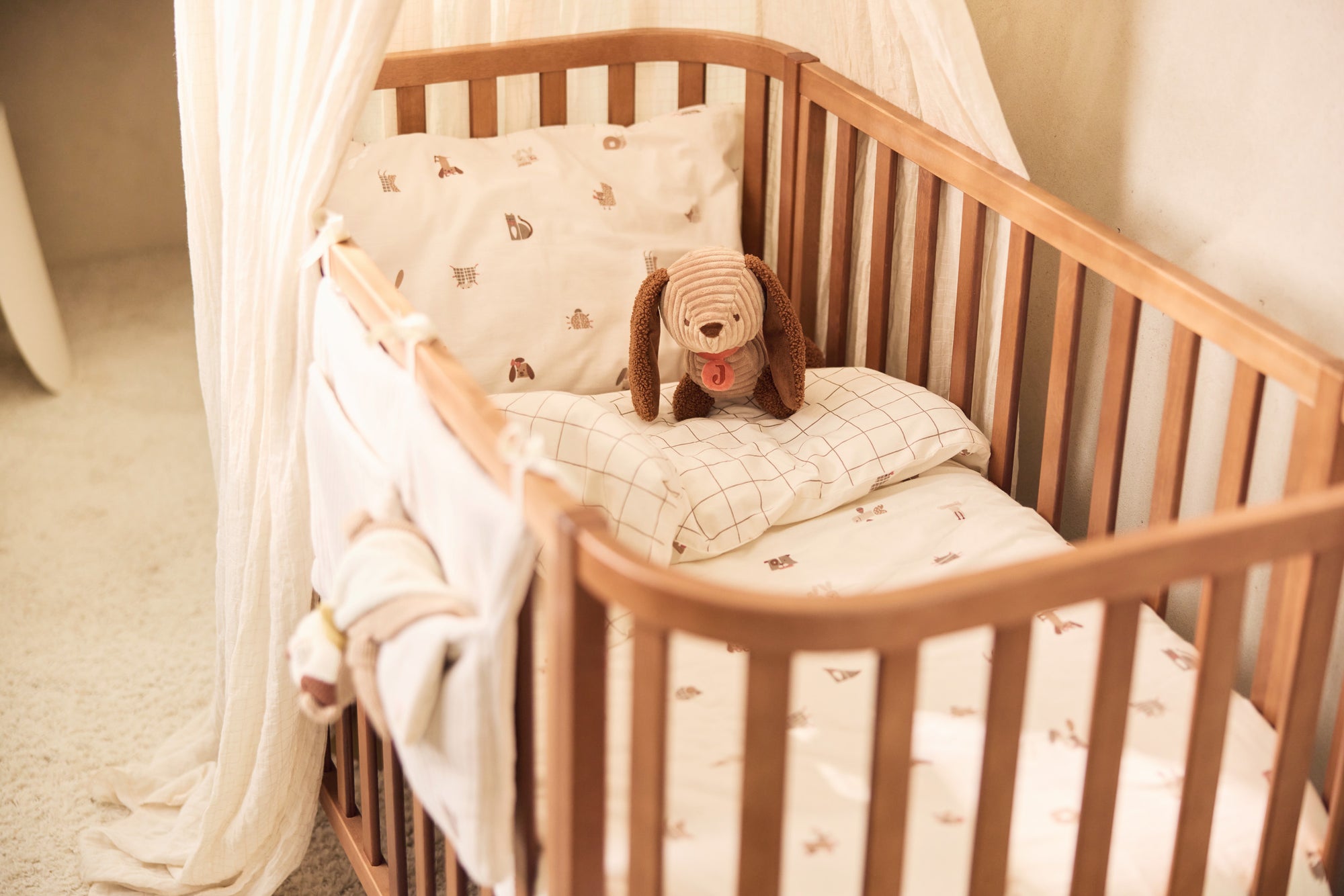 Hundur - Diego - miniplay.is