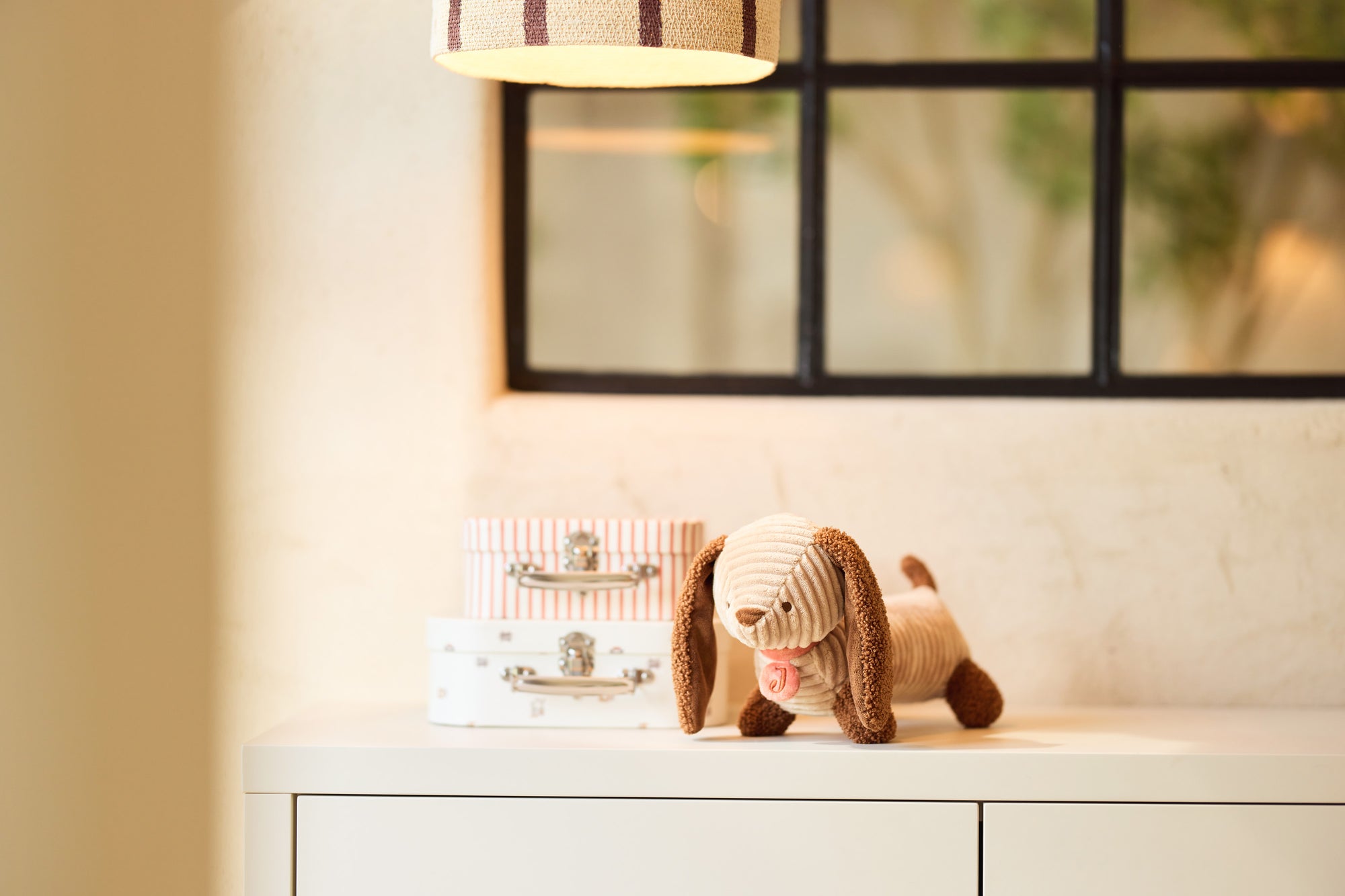 Hundur - Diego - miniplay.is