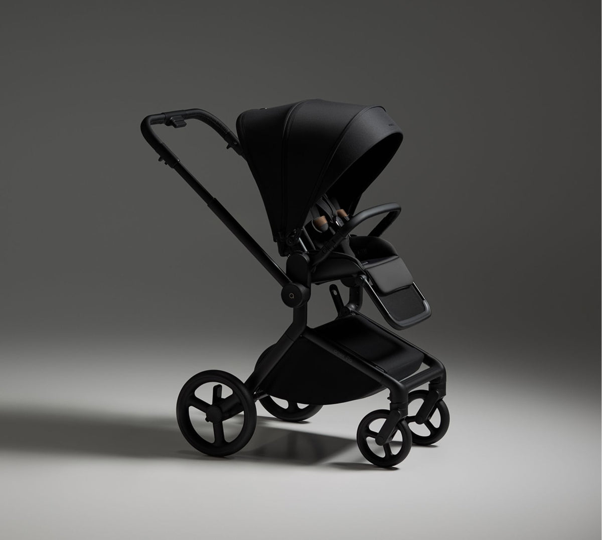 Anex Flo frame and seat unit in Lungo