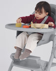 Anex Ozy footrest in Shade